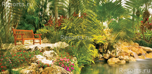 Hyatt Regency Grand Cayman Beach Suites 38